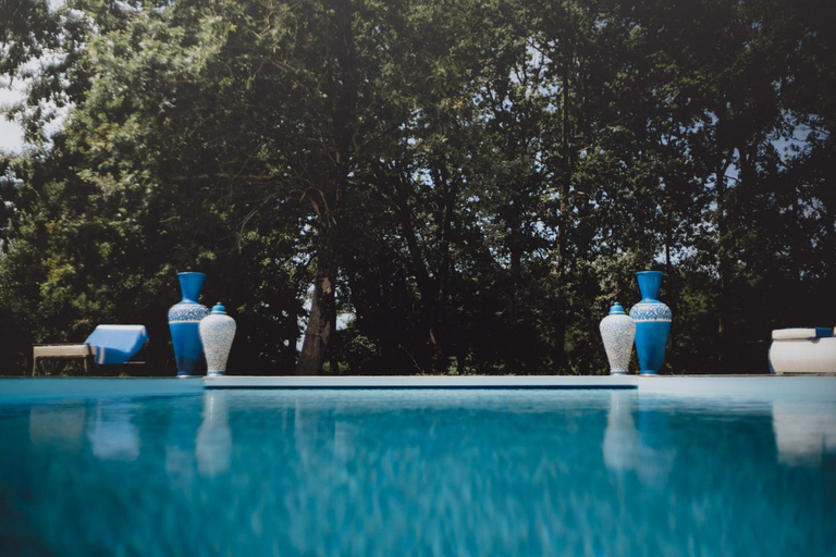 Others 5, Riad Landais, Landes