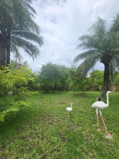 Others 5, Asamai Villas, Kombo South