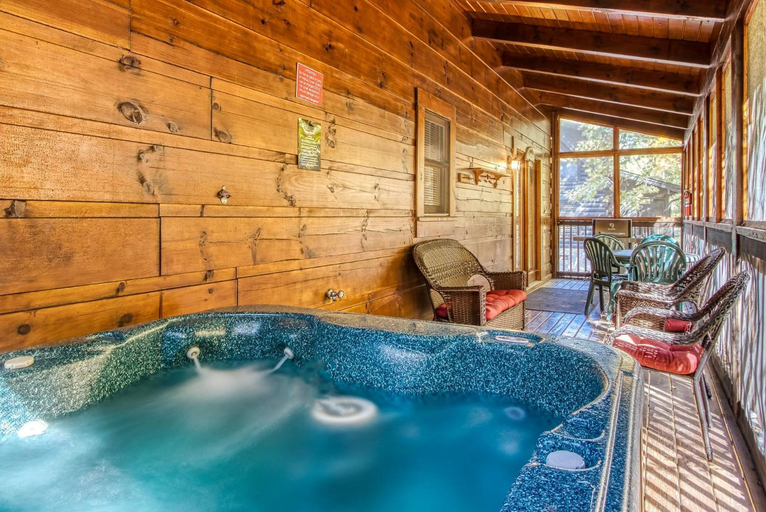 Sport & Beauty 4, ER256 - Smoky Mountain Top cabin, Sevier