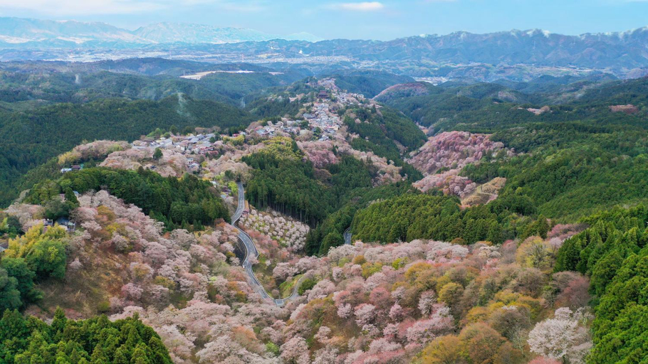 Others 4, Fukubatake, Yoshino