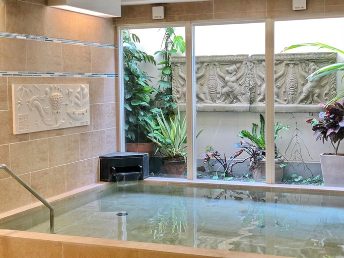 Swimming Pool 5