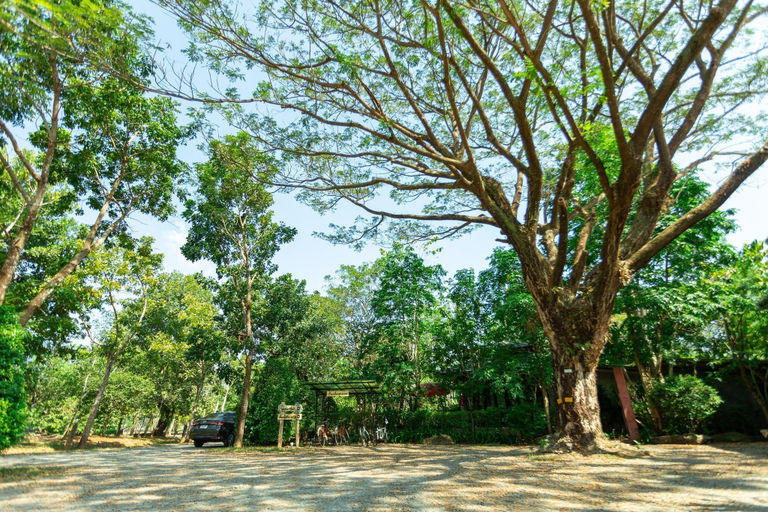 Scenery 5