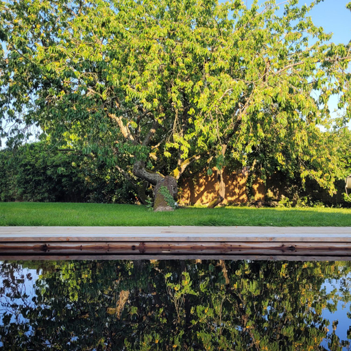 Others 5, LA VILLA MARIE, Yvelines