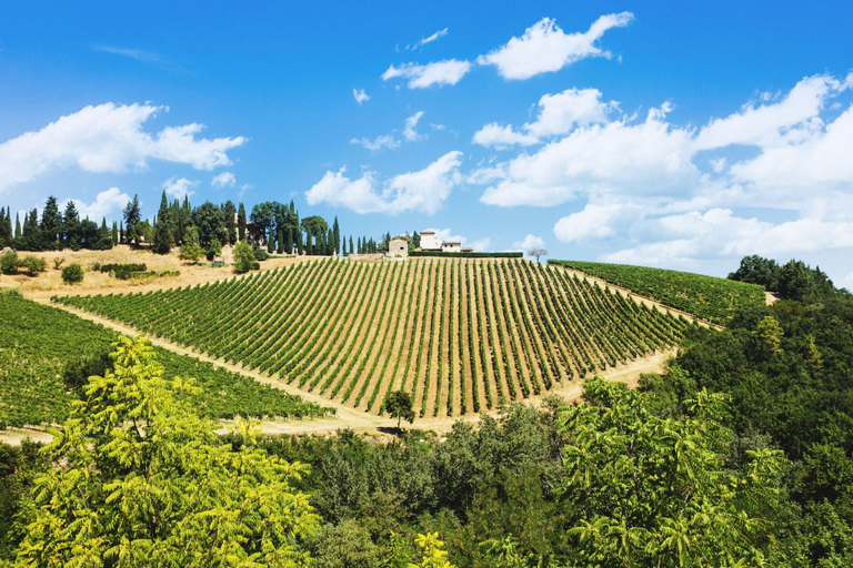Others 4, Palagio 14 in Chianti With Shared Pool, Florence