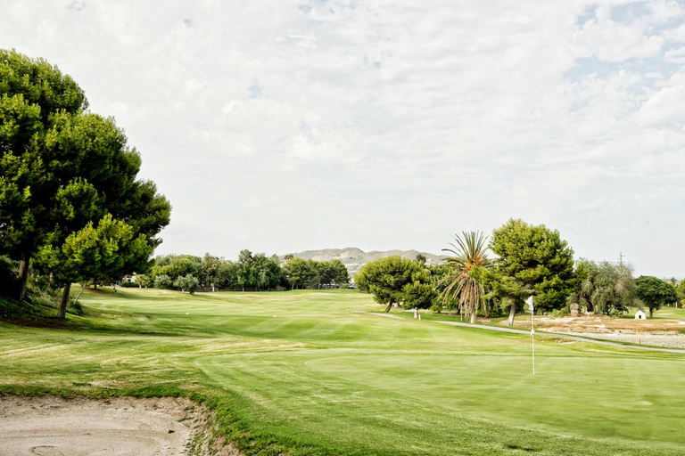 Others 4, Villa Maribel, Alicante