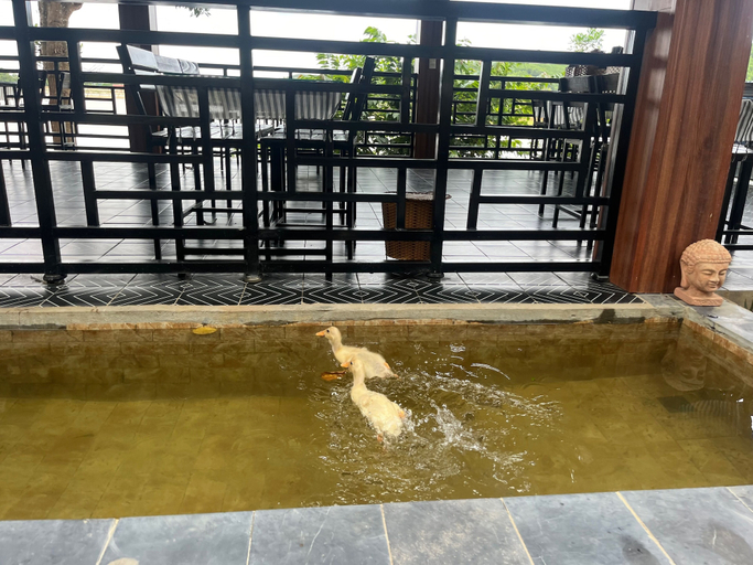 Sport & Beauty 5, Nguyen Shack Retreat, Bố Trạch