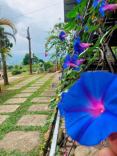 Scenery 2