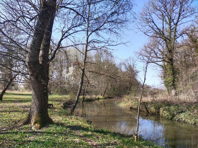 Others 4, Par les Pres et les Bois de Sologne, Loir-et-Cher