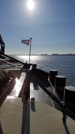 Others 4, BlackPearl Boat&Breakfast, Terneuzen