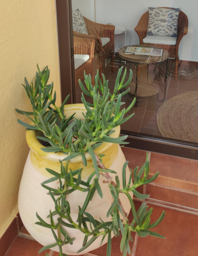 Others 2, Hostal Blavet, Teruel