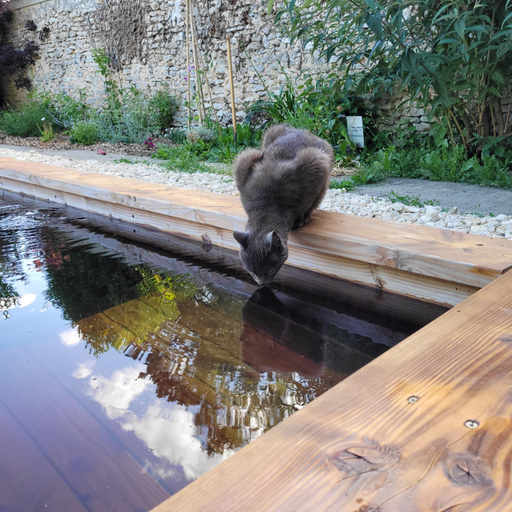 Others 3, LA VILLA MARIE, Yvelines