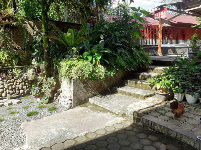 Exterior & Views 4, Riana's Homestay, Tana Toraja