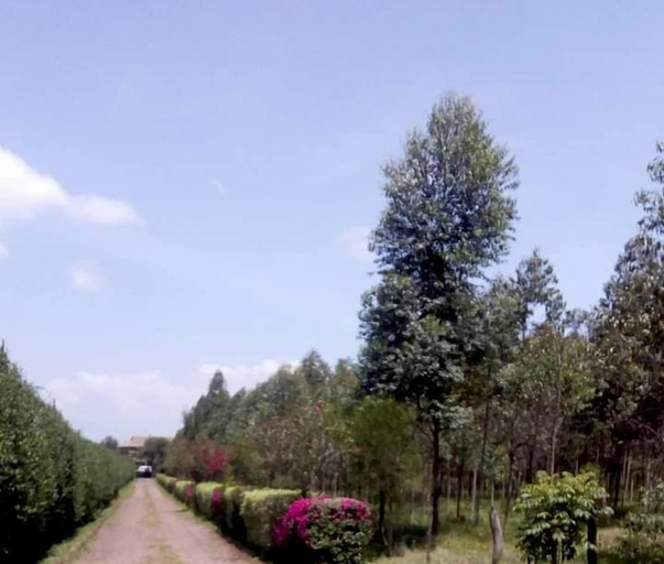 Others 5, Lux Suites Marura Holiday Villa Nakuru, Gilgil