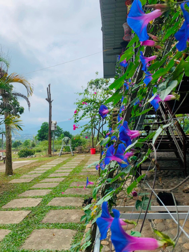 Scenery 3
