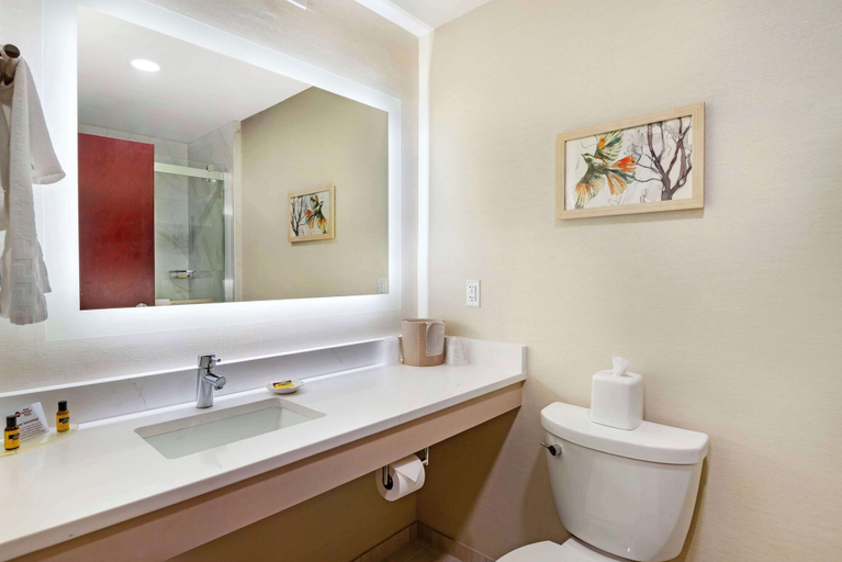 Bathroom 4, Best Western Plus Crossroads Inn & Suites, Louisa