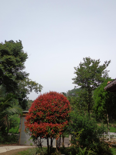 Others 5, Shadow Homestay, Weligama