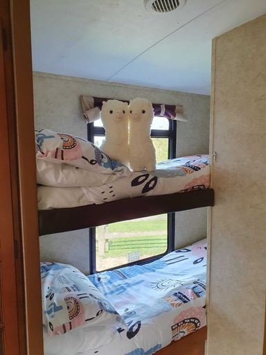 Bedroom 4, Glamping With Llamas, Cambridgeshire