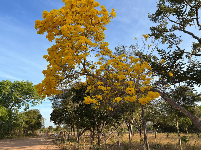 Others 3, Fervedouro e pousada Por Enquanto, São Félix do Tocantins