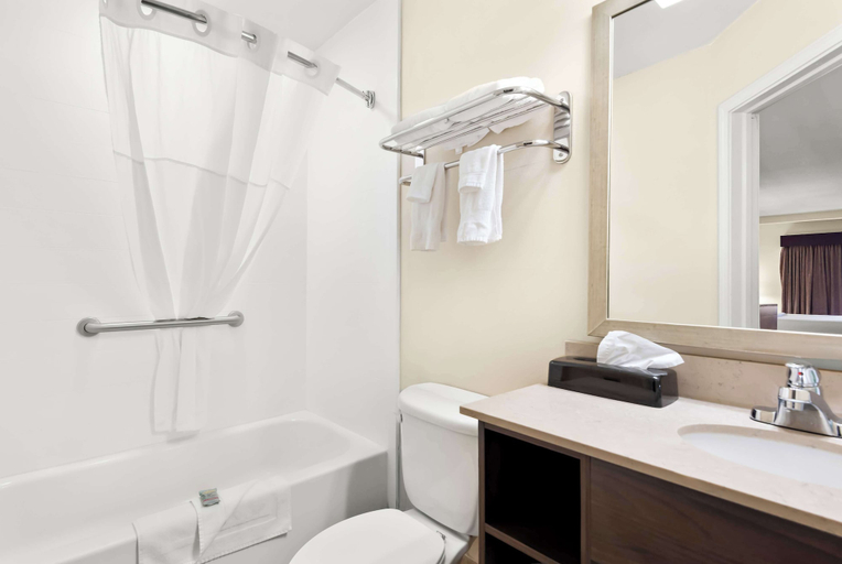 Bathroom 4, Best Western Palmyra Inn & Suites, Wayne