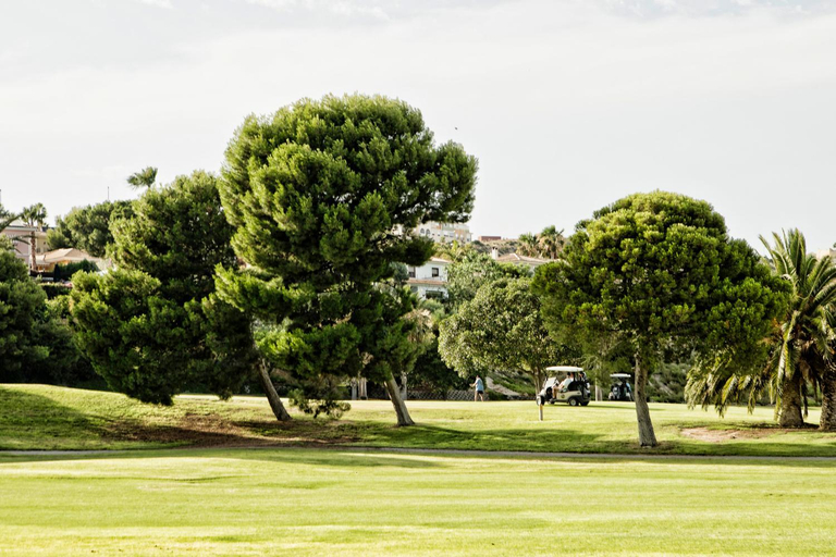 Others 3, Villa Maribel, Alicante
