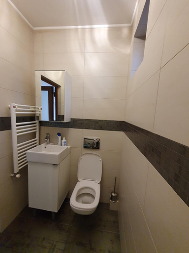 Bathroom 4, Vila Vati - Arena Pitesti, Pitesti