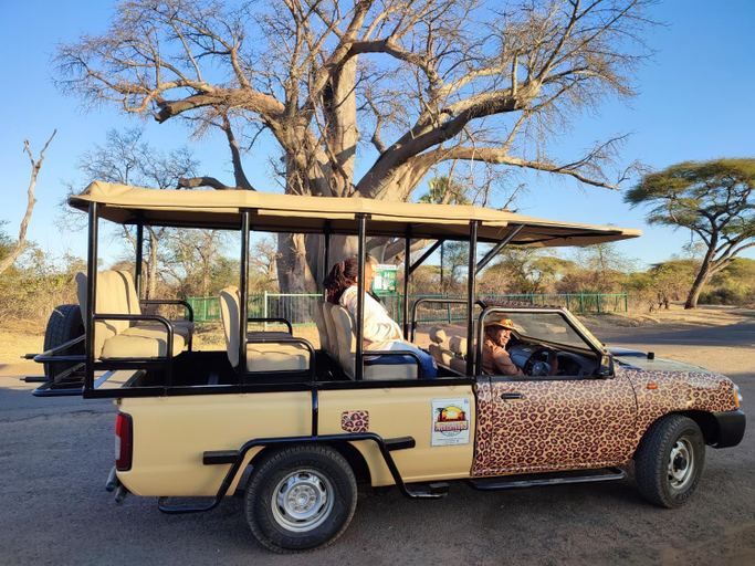 Others 5, Zambezi Family Lodge - Lion Room, Hwange