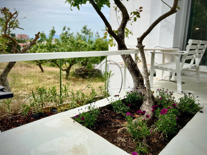 Others 4, Cozy Studio the original, Central Greece