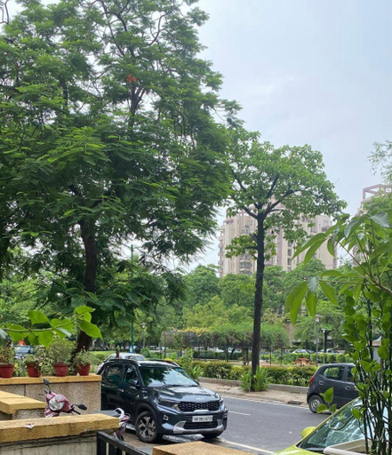 Exterior & Views 5, Freedom, Gurgaon