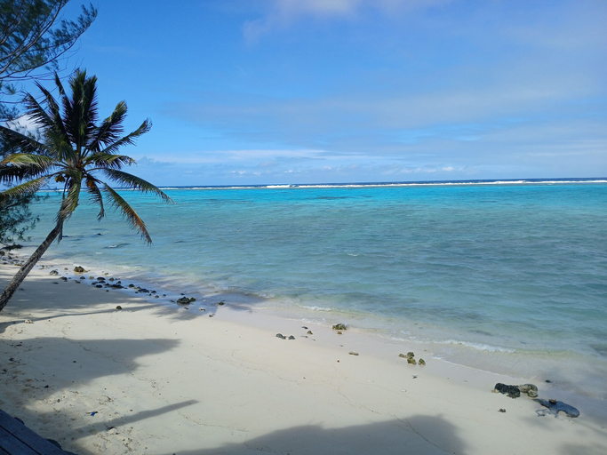 Others 5, Reflections On Rarotonga, Rorotonga