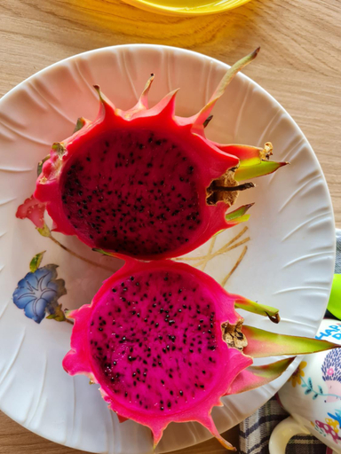 Others 5, Bois Gournable