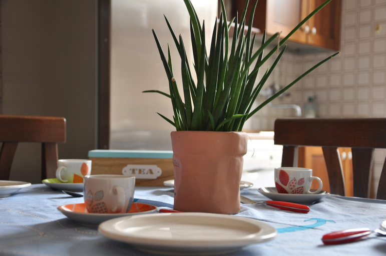 Food & Drinks 4, Interno 7, Roma