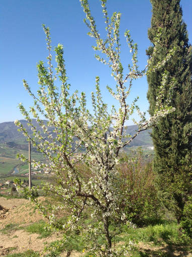 Others 5, Agriturismo Prato Barone, Florence