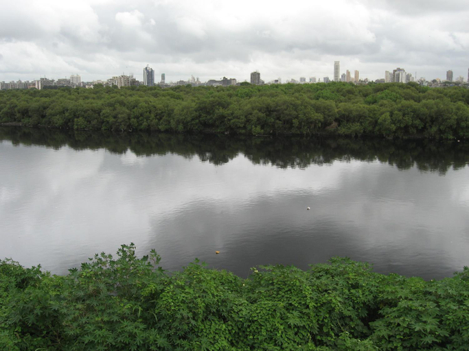 Others 4, Hotel Isra International, BKC, Mumbai City