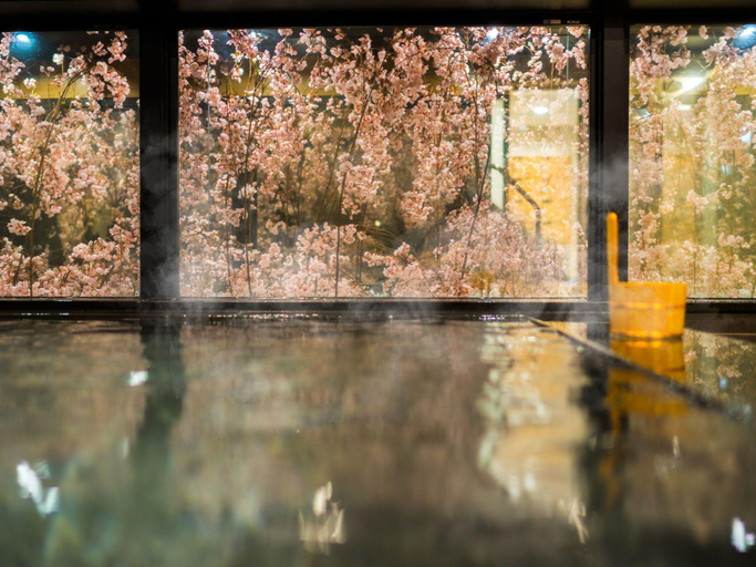 Swimming Pool 14