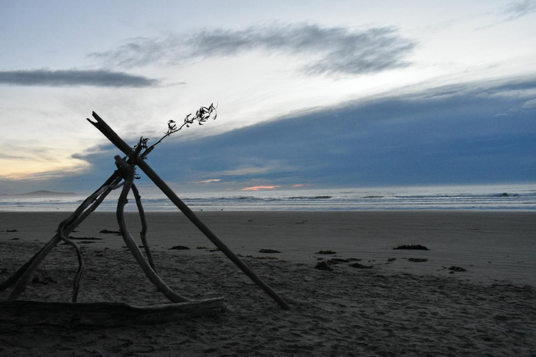 Others 5, Moeraki Beach Motels, Waitaki