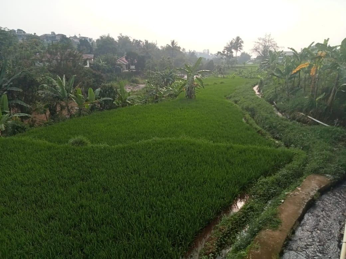 Scenery