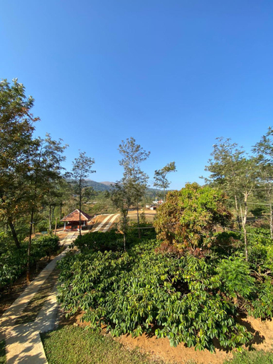 Others 5, FernHills Homestay, Kodagu