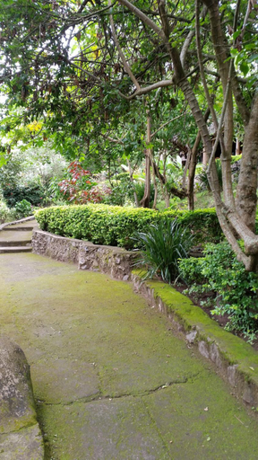 Others 4, Meru Mbega Lodge, Meru