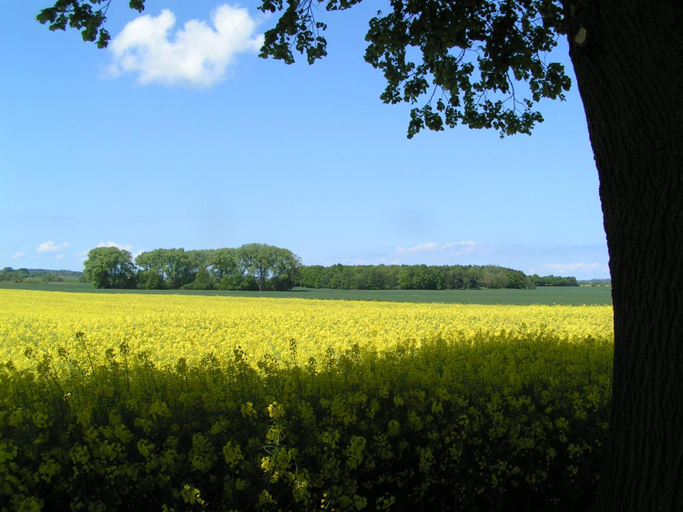 Others 4, Gastehaus Landgut Lischow, Nordwestmecklenburg