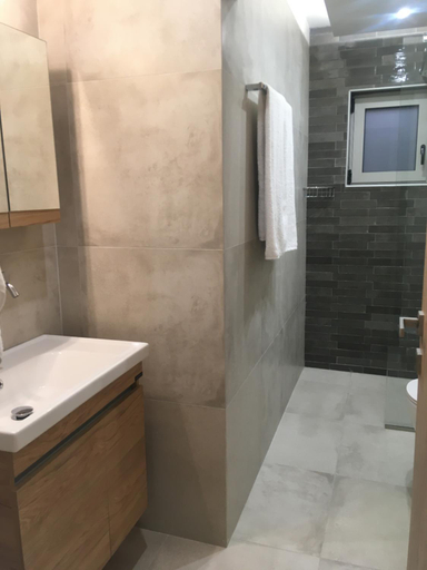Bathroom 2, ΤΟ ΠΕΤΡΙΝΟ / THE PETRINO APARTMENTS, Peloponnese