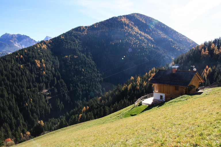 Others 5, Naturchalet, Bolzano