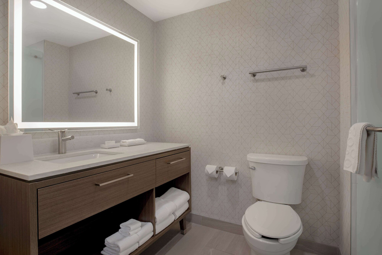 Bathroom 4, Home2 Suites By Hilton Thunder Bay, Thunder Bay