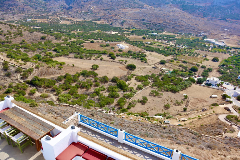 Others 4, Theoreion, South Aegean