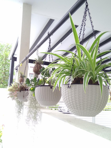 Others 4, Premium Garden Home 17 @Golden Hills Pasar Malam, Cameron Highlands