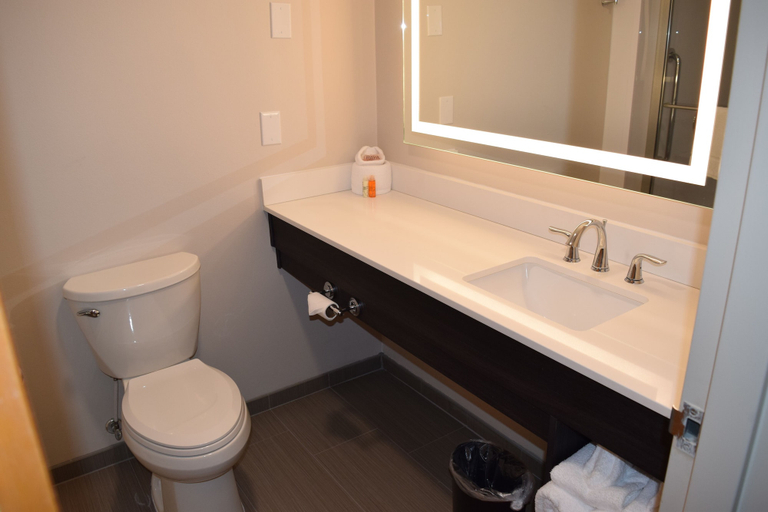 Bathroom 4, BridgePointe Hotel & Marina, Craven