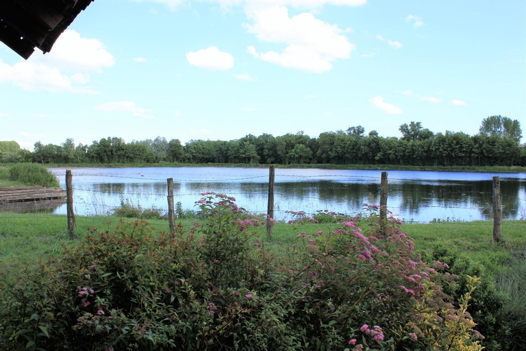 Exterior & Views 4, Le Moulin Traffay, Ain