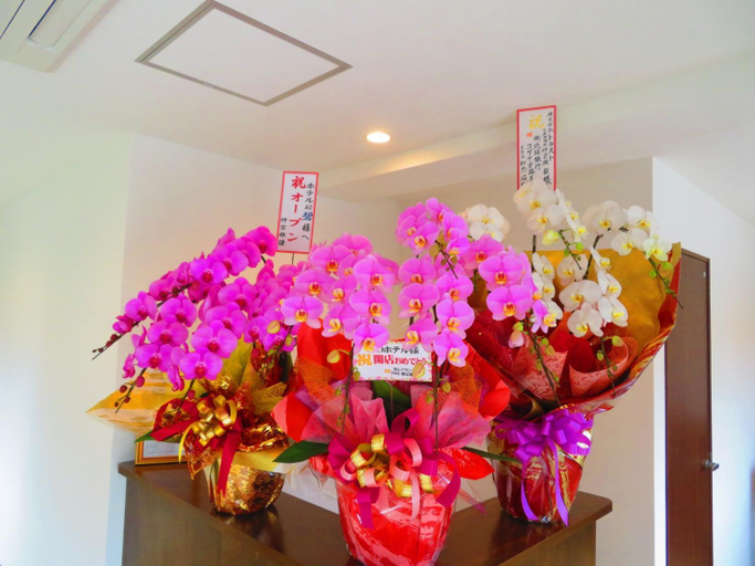 Others 1, Ao-Ao-Hotel - Vacation STAY 29367v, Nago