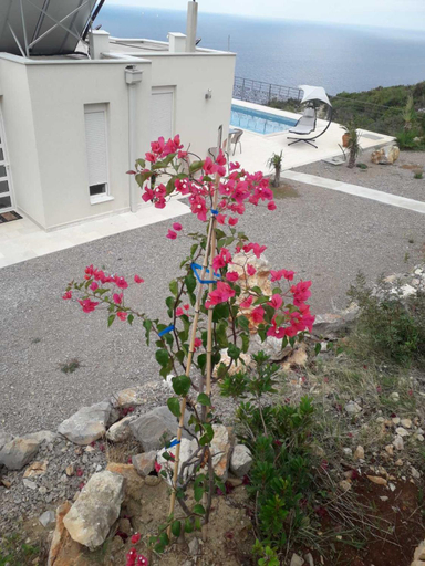 Others 3, Private Sea View with Infinity Pool in VILLA NERIN Zagora
