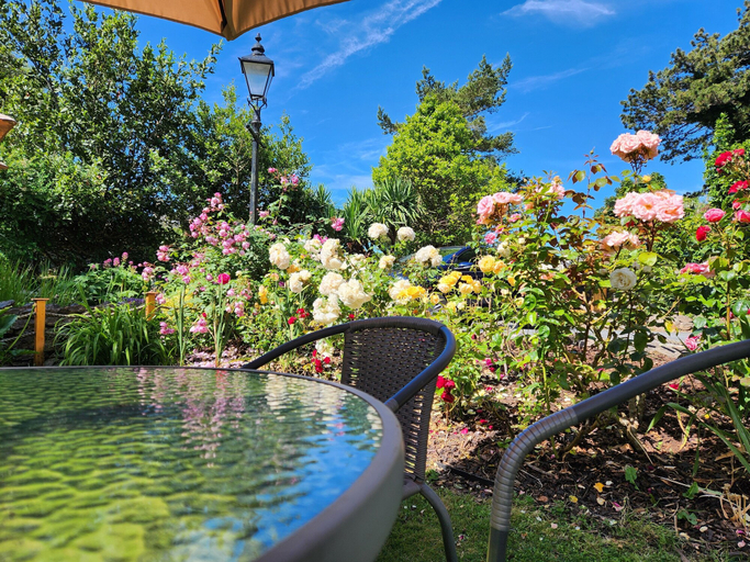 Sport & Beauty, ROSE COURT HOLIDAY APARTMENTS, Torbay