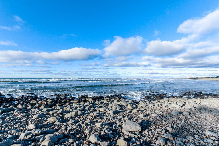 Others 5, Whaler's Point, Clatsop
